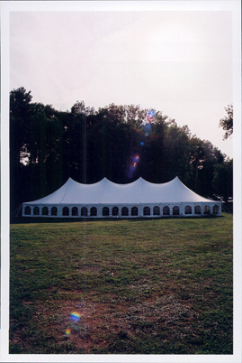 40x100 pole